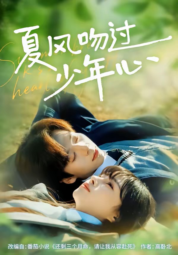 夏风吻过少年心