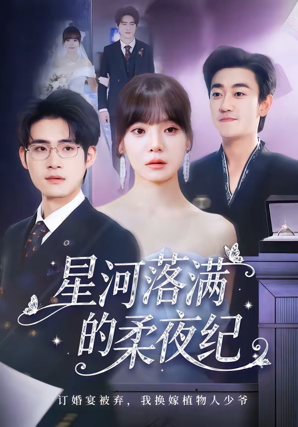 星河落满的柔夜纪